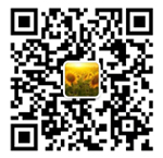 山东蓝桥人力资源微信二维码